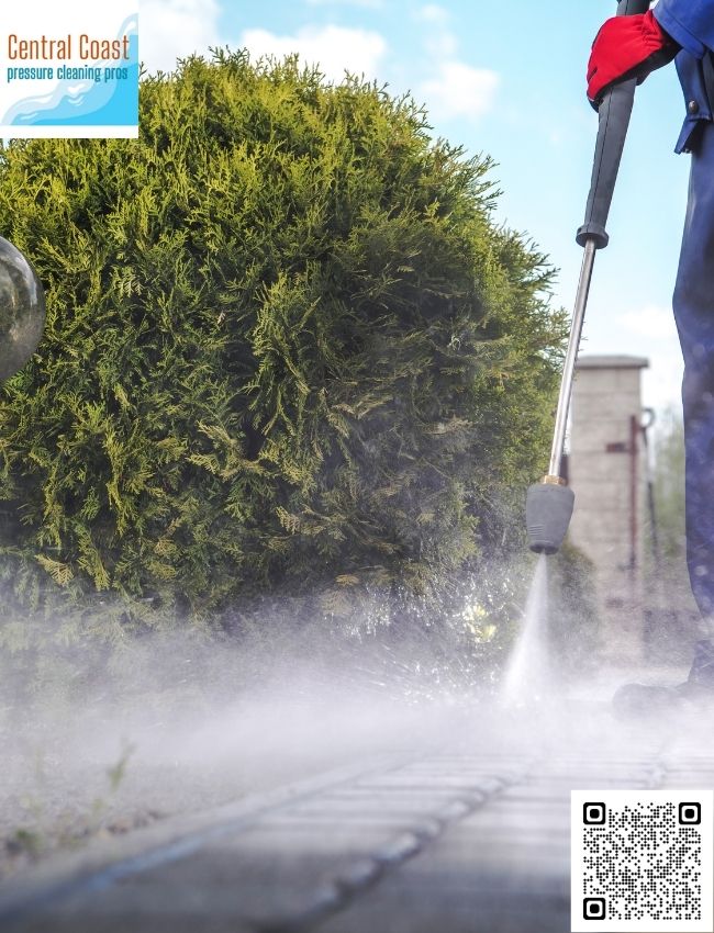 Gutter Cleaning Services in The Entrance