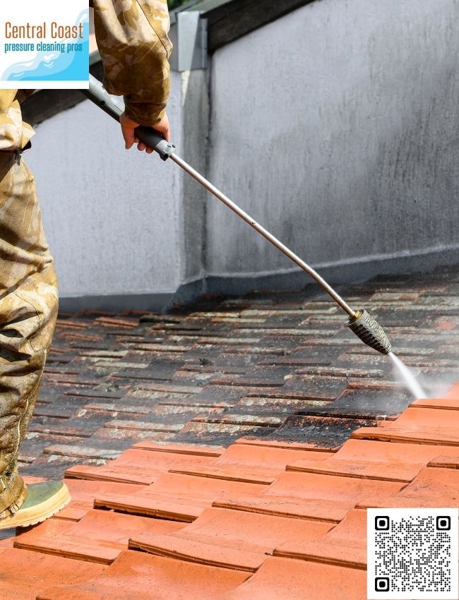 Professional Driveway Cleaning in Terrigal