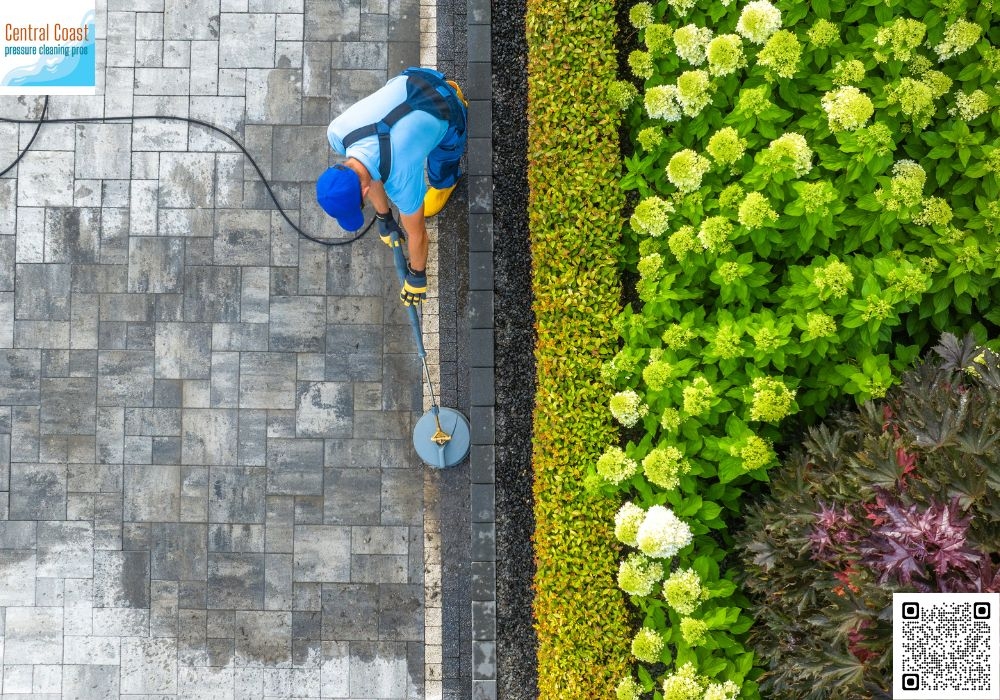 Who Are the Trusted Solar Panel Cleaners in Woy Woy?
